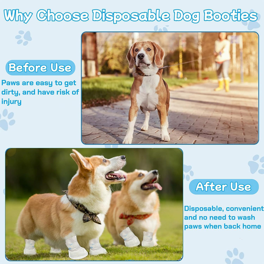 20/40PCS Pet Disposable Paw Sh - Dust Shoe Cnc incelemesi ve fiyatı